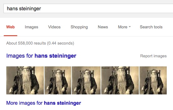 google results for hans Steininger