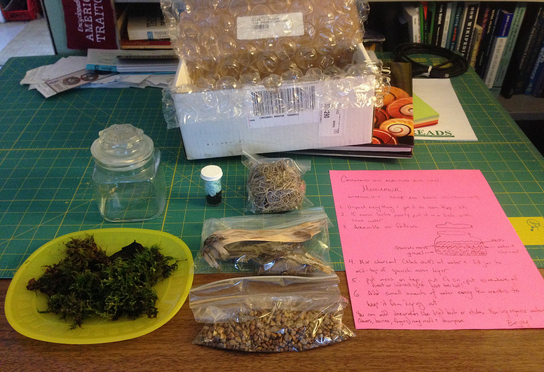 all the parts of a moss kit laid out