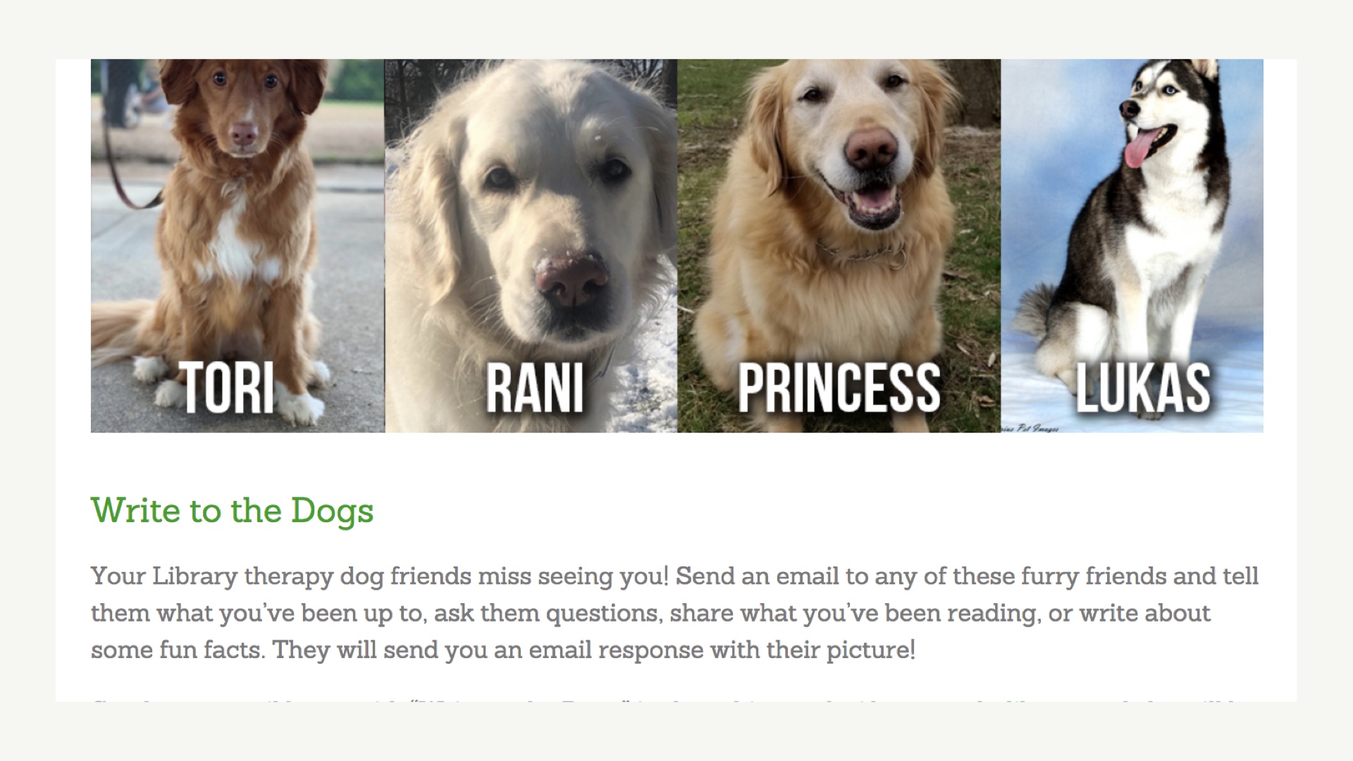 [screenshot of another Elmhurst page where you can write to dogs, featuring four photos of their dogs with their names and a description of the program]