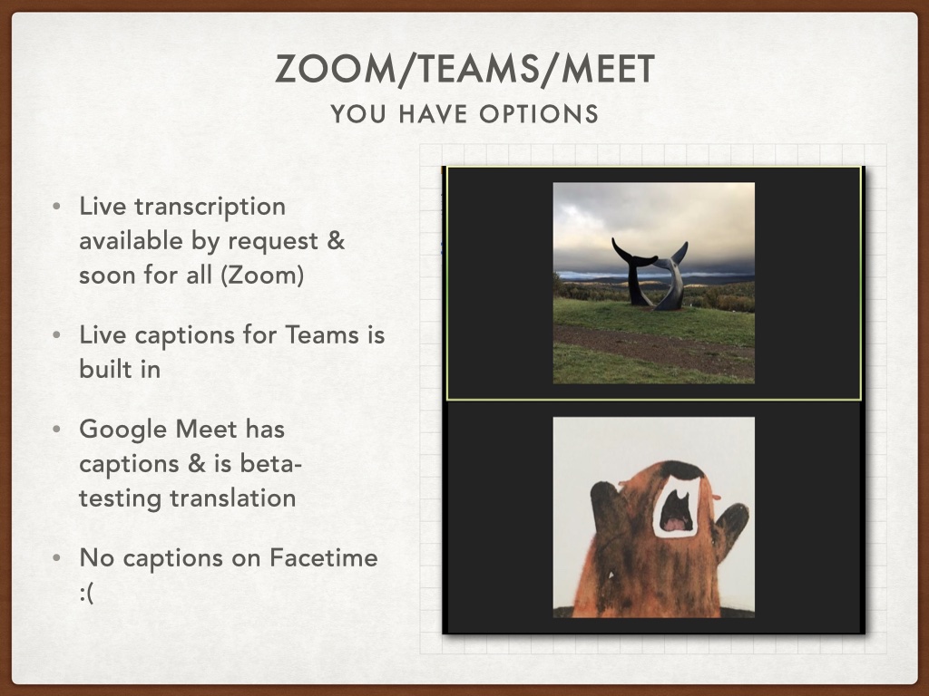 Title: Zoom/Teams/Meet. Subtitle: You have options. Bulleted list: Live transcription available by request & soon for all (Zoom); Live captions for Teams is built in; Google Meet has captions & is beta-testing translation; No captions on Facetime (frown face). Image shows a zoom call between a cartoon gopher and a scenic nature photograph