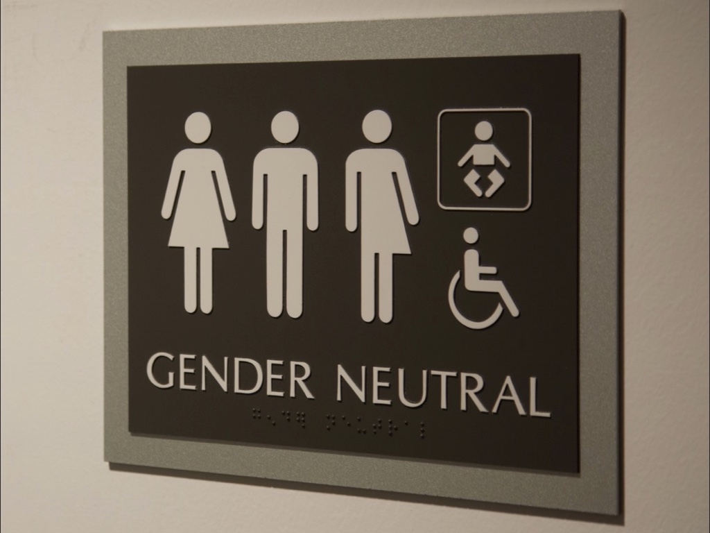 Slide 28: one options which hangs on the wall of the White House bathroom showing the traditional male/female figures as well as one that is half of each and someone in a wheelchair and a baby
