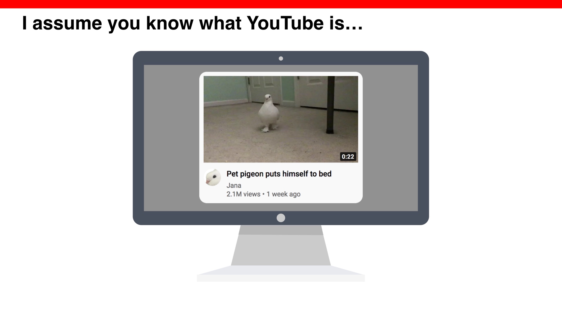 I assume you know what YouTube is, image of a video called 'pet Pigeon puts himseld to bed' which has gotten 2.1 million views 
