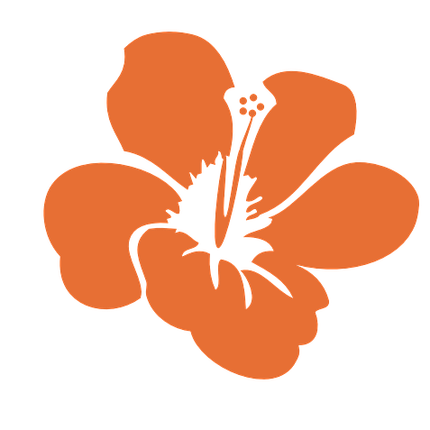 a stylized orange flower
