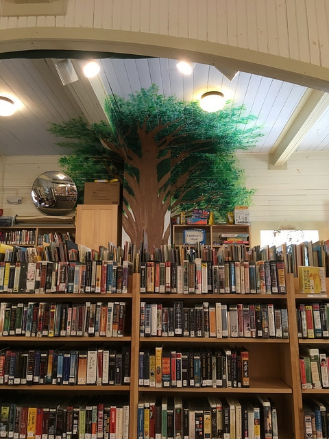 tree in the Warren Library kids' room