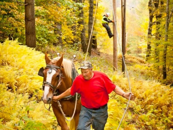 laying fiber in braintree vermont